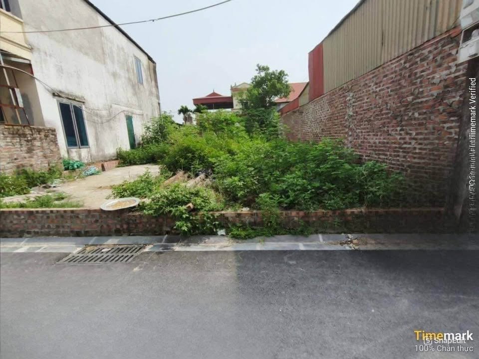 Đất nền Thụy Lâm Đông Anh 72m² giá chỉ 6x triệu/m² - Cơ hội đầu tư tuyệt vời!