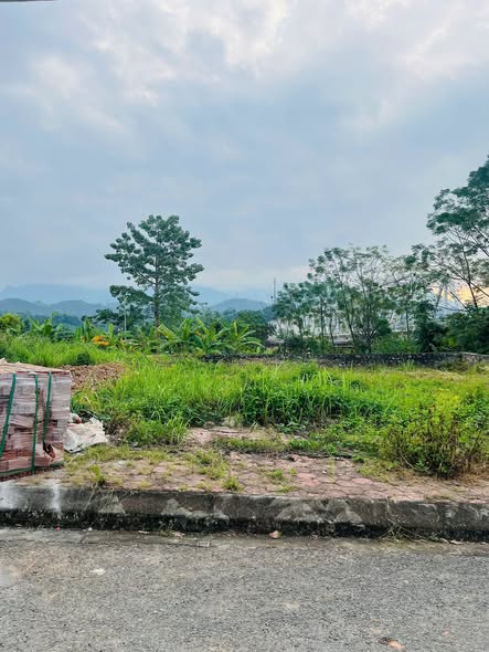 Đất nền Phố Lu Bảo Thắng 92.5m² giá 799 triệu - Cơ hội đầu tư tuyệt vời!