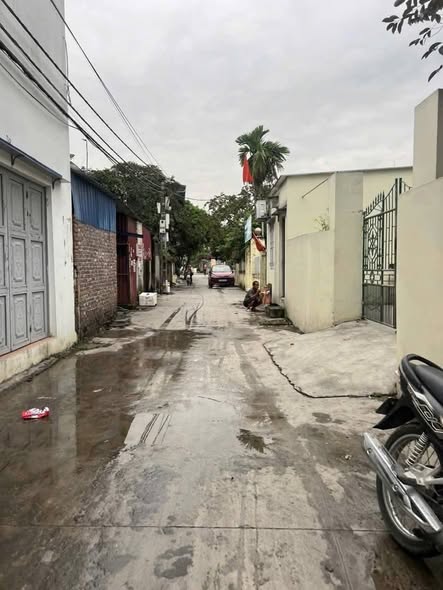 Đất nền Hồng Phong, An Dương 183m² giá thỏa thuận - Vị trí vàng đầu tư sinh lời!