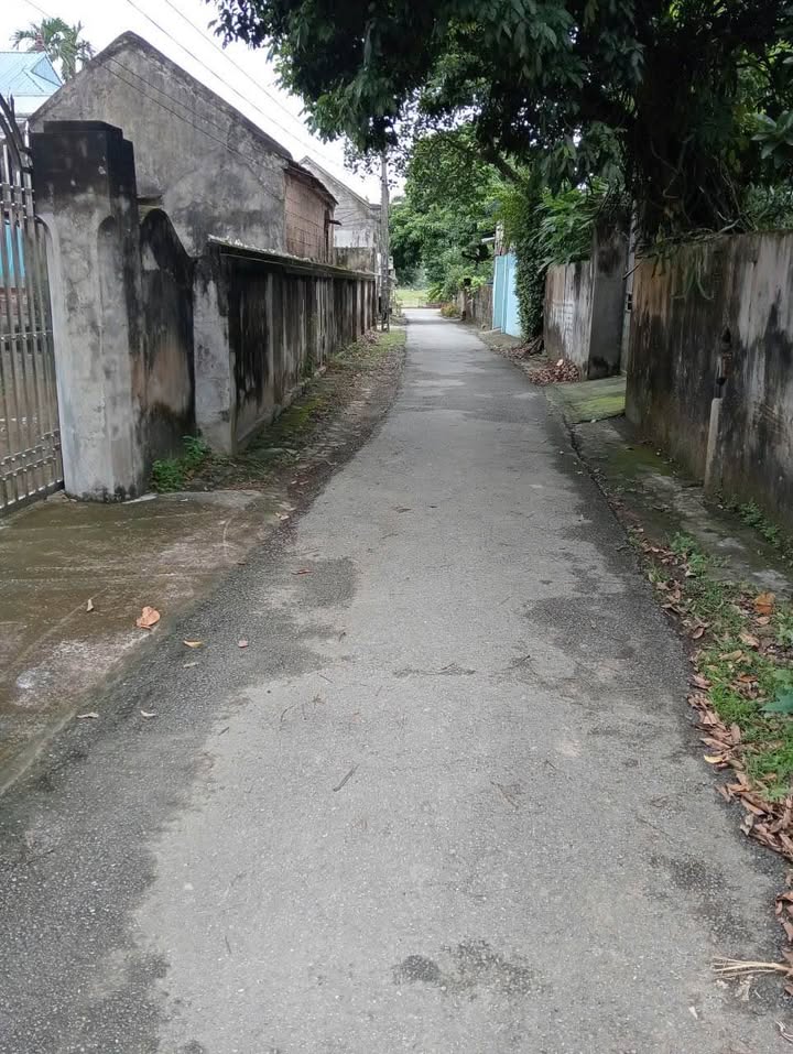 Đất thổ cư Tiêu Động 169m² giá 1.1 tỷ - Ô tô đỗ cửa, vị trí thuận lợi!