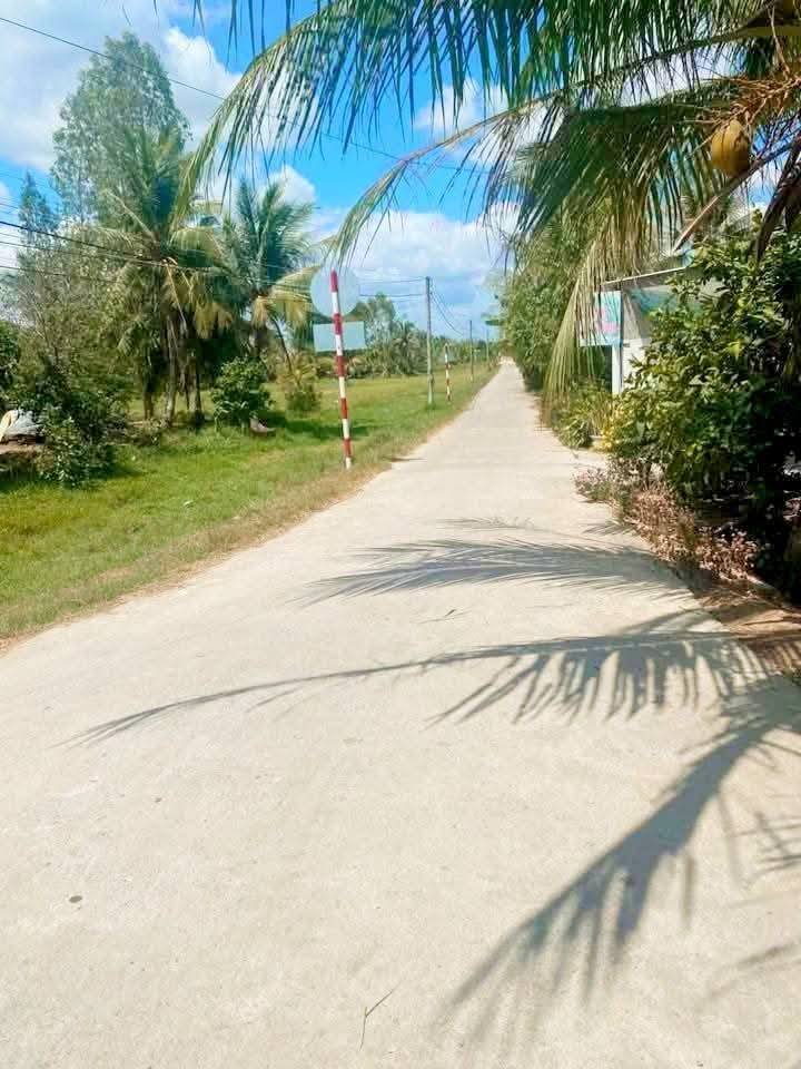 Đất nền Mỹ Thạnh, Ba Tri, Bến Tre 288m² giá chỉ 200 triệu - Cơ hội đầu tư hấp dẫn!