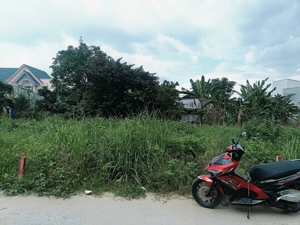 Đất nền 81.6m² tại xã Đông Thạnh, Hóc Môn - Xây dựng tự do, giá chỉ 2.9 tỷ!