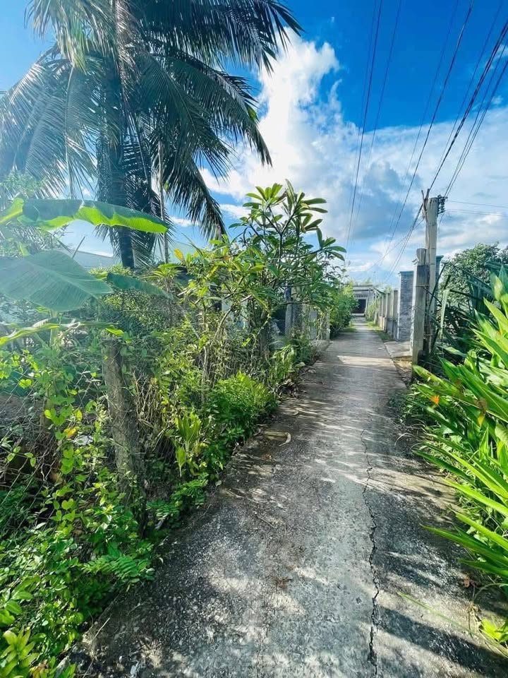 Đất nền Nhơn Thạnh Trung, Tân An 140m² giá 520 triệu - Sổ hồng riêng, điện nước đầy đủ!