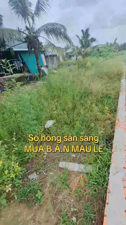 Đất thổ cư Thới Lai 240m² giá chỉ 700 triệu - Đầu tư sinh lời tuyệt vời!