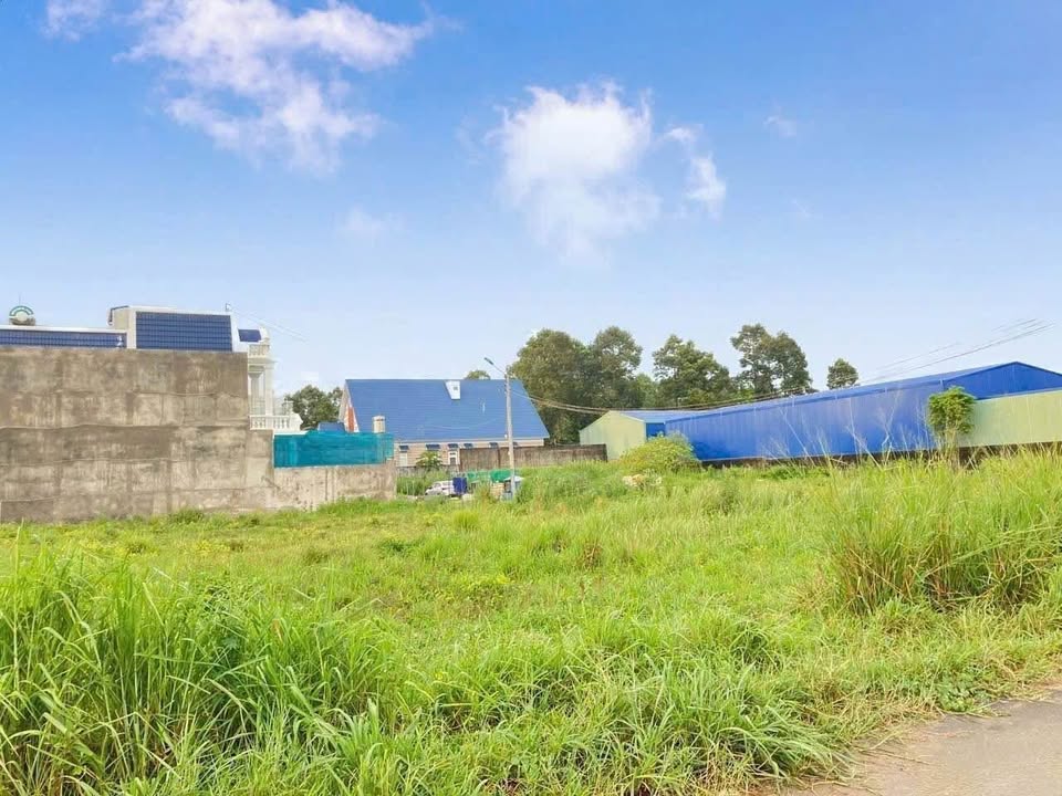 Đất 2 Mặt Tiền 231m² tại Bình Minh, Trảng Bom chỉ 2,1 tỷ - Cơ hội vàng đầu tư!