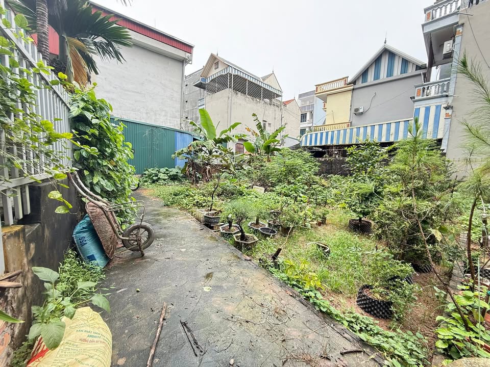 Đất nền 41,7m² tại Chợ Chúc Sơn - Giá đầu tư chỉ 3 tỷ!