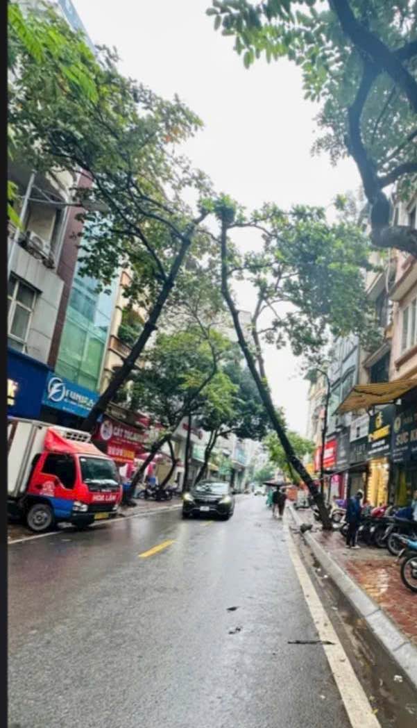 Mặt phố Thanh Xuân 55m² giá 23 tỷ - Kinh doanh sầm uất, vỉa hè rộng!