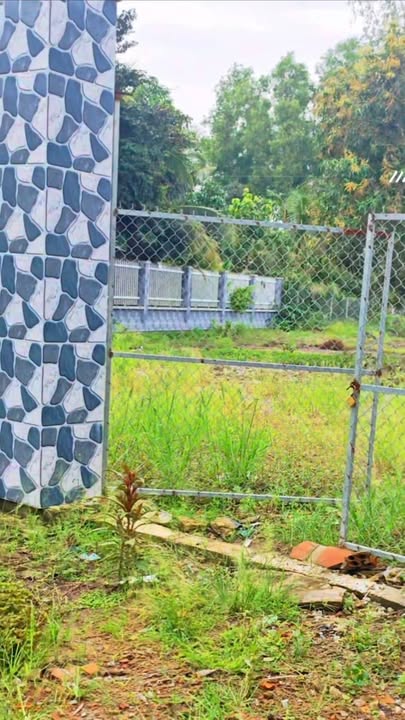 Đất vườn Trường Xuân, Thới Lai 1,477m² giá 1.5 tỷ - Đầu tư sinh lời ngay!