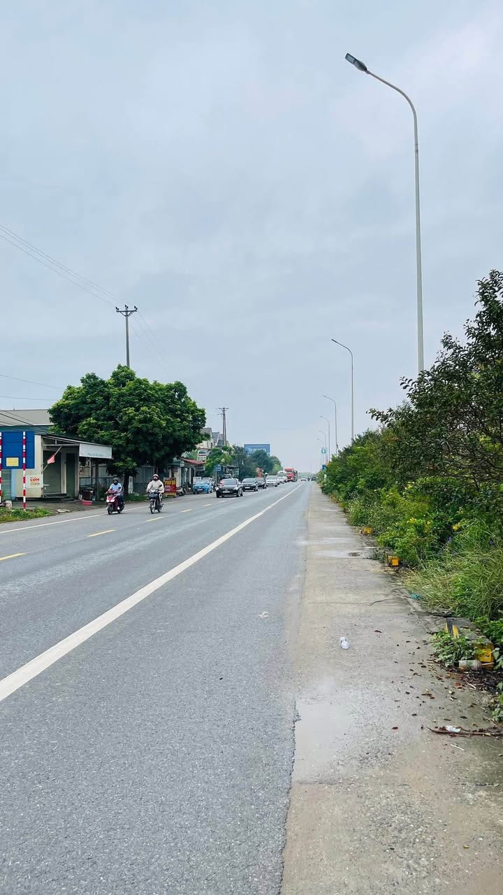 Đất Mặt Quốc Lộ 32 - 100m² Giá 2 Tỷ - Nhà Xưởng Kinh Doanh Ngay!