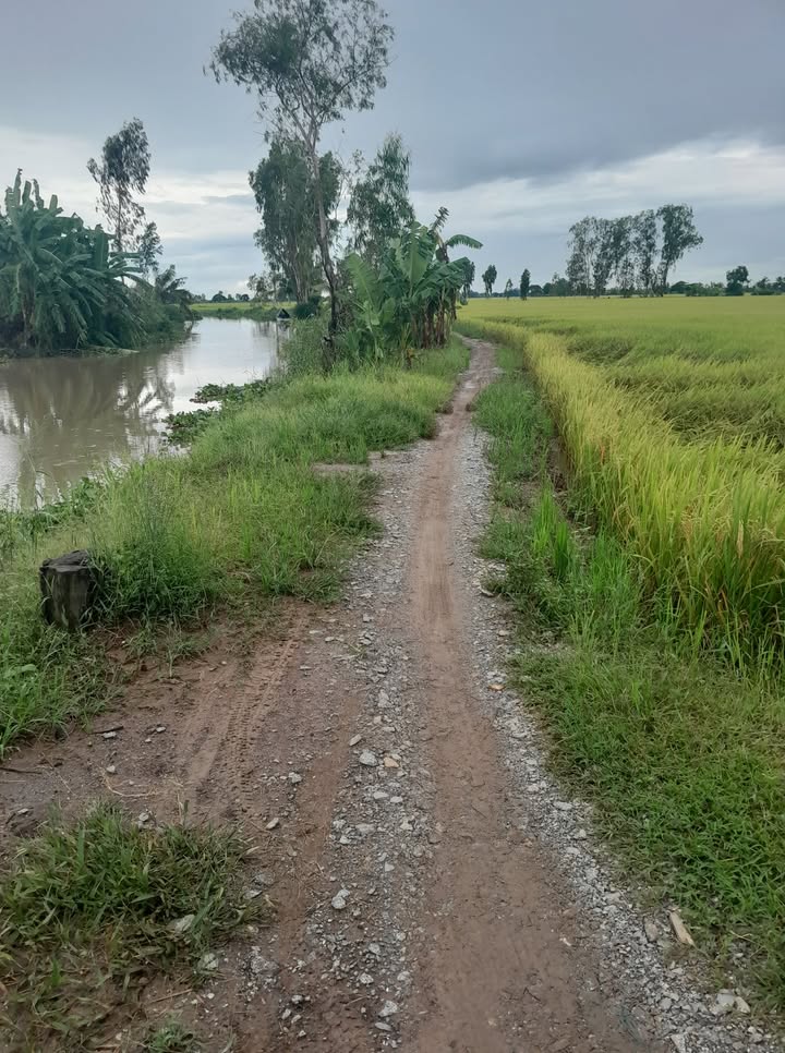 Đất nông nghiệp Vĩnh Hanh 21 Công giá chỉ 1.6 tỷ - Đầu tư sinh lời ngay!