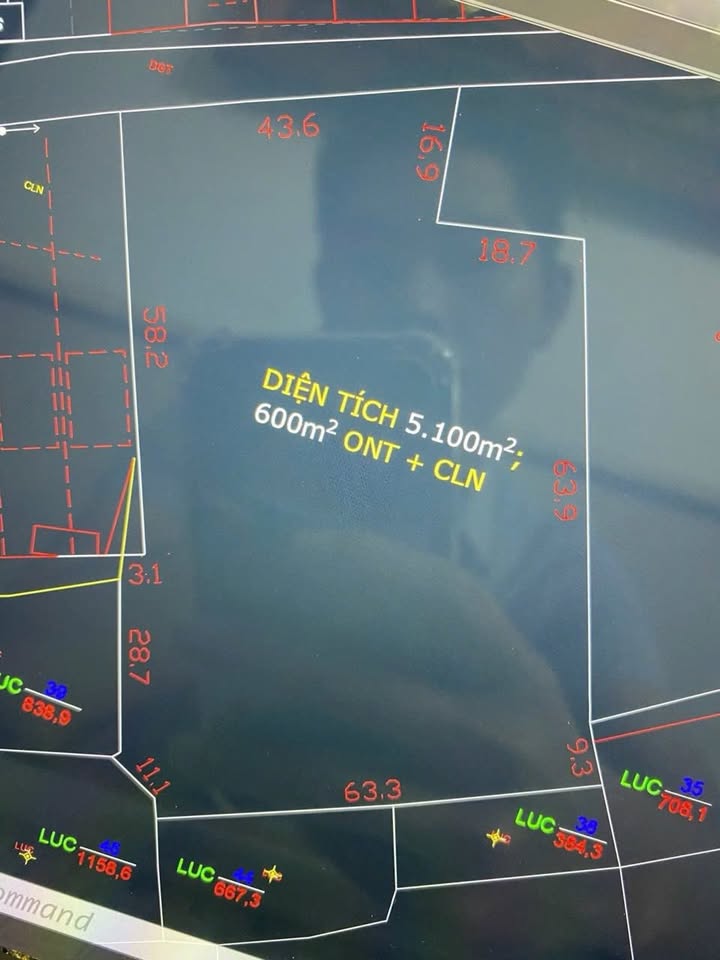 Đất nền Phước Hội Đất Đỏ 5.100m² giá 5.2 triệu/m² - Đầu tư sinh lời ngay!