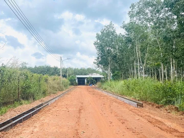 Đất nền Dầu Tiếng 820m² giá 1.9 tỷ - Đường nhựa rộng rãi 8m