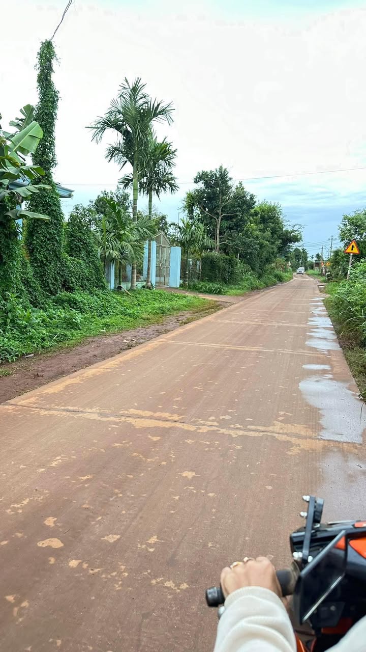 Nhà cấp 4 Ea Tóh, Krông Năng 400m² giá chỉ 1.1 tỷ - Đầy đủ tiện ích sống!