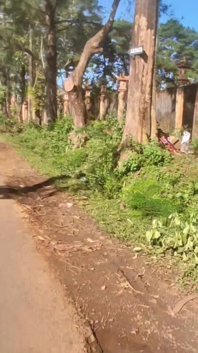 Đất nền Hẻm 42 Nguyễn Kiệm Pleiku 118m² giá 750 triệu - Cơ hội đầu tư sinh lời!