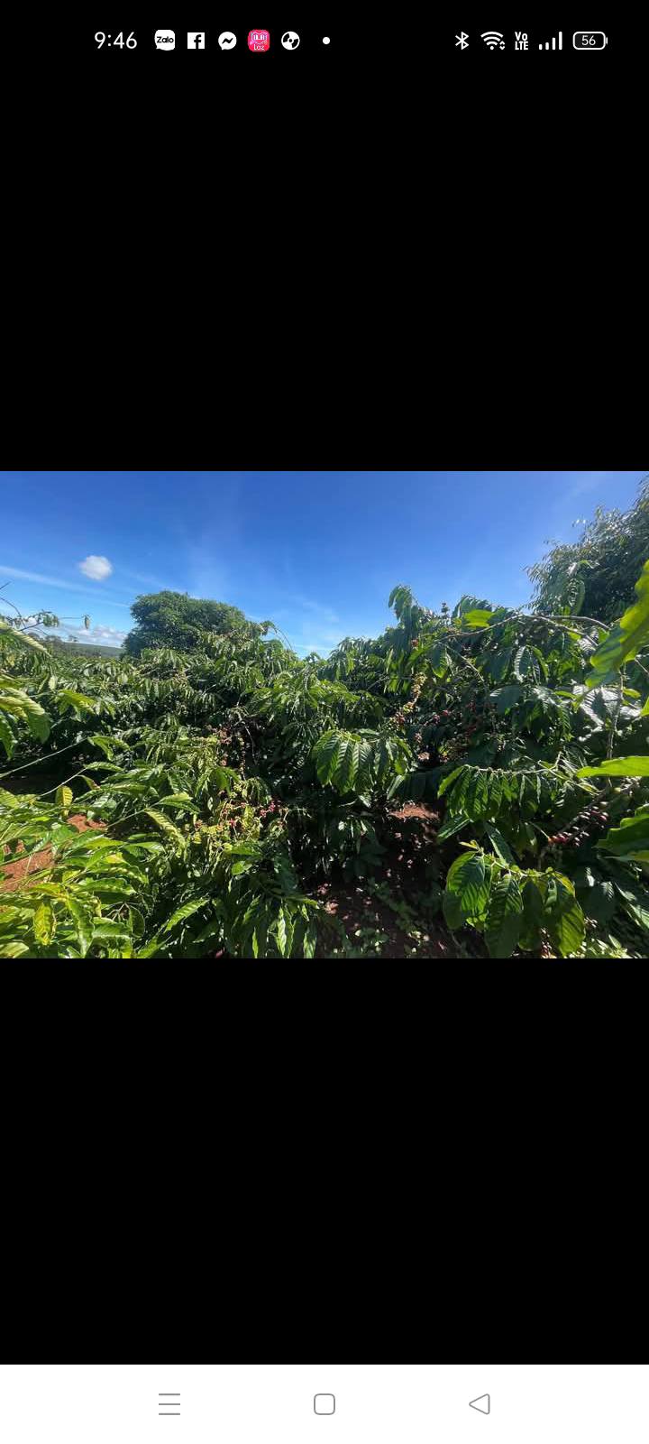 Đất Farm 24,000m² tại Ea Khal, Đắk Lắk giá 559 triệu - Tiềm năng kinh doanh lớn!