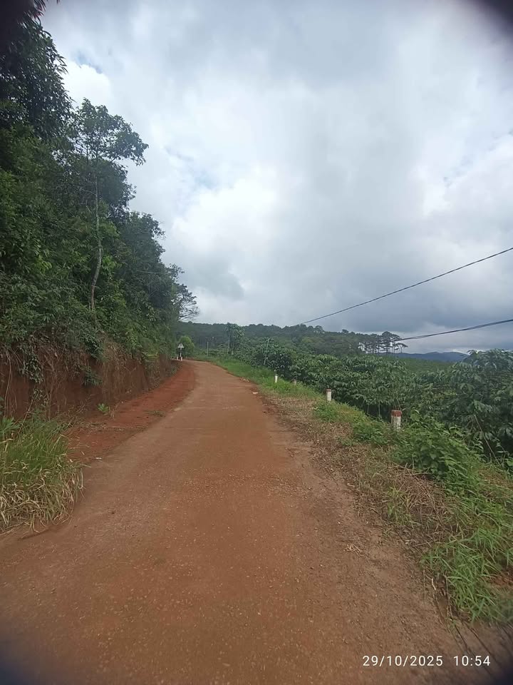 Đất nền B'Lá Bảo Lâm 4000m² giá 2.2 tỷ - Cơ hội đầu tư vàng!