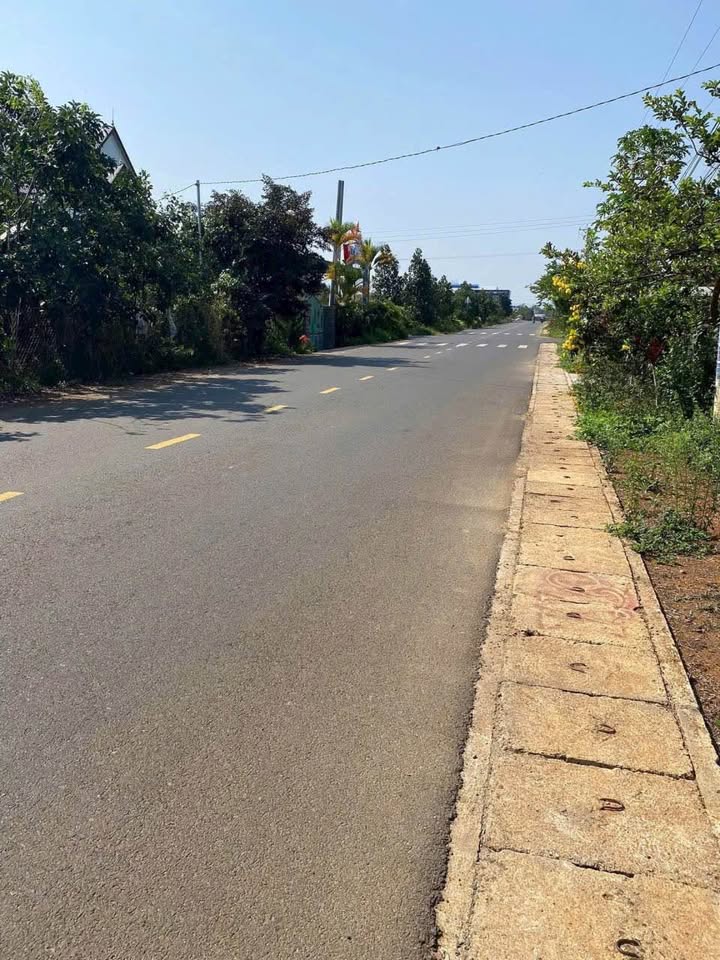 Đất mặt tiền Âu Cơ, Tân Lạc, Bảo Lâm 500m² giá chỉ 1.999 tỷ - Đầu tư sinh lời ngay!