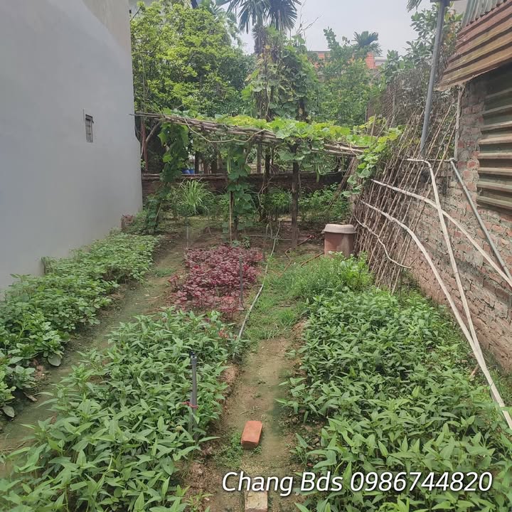 Đất Kim Chung Hoài Đức 42m² giá chỉ 4 tỷ - Vị trí đắc địa, tiện ích đầy đủ!