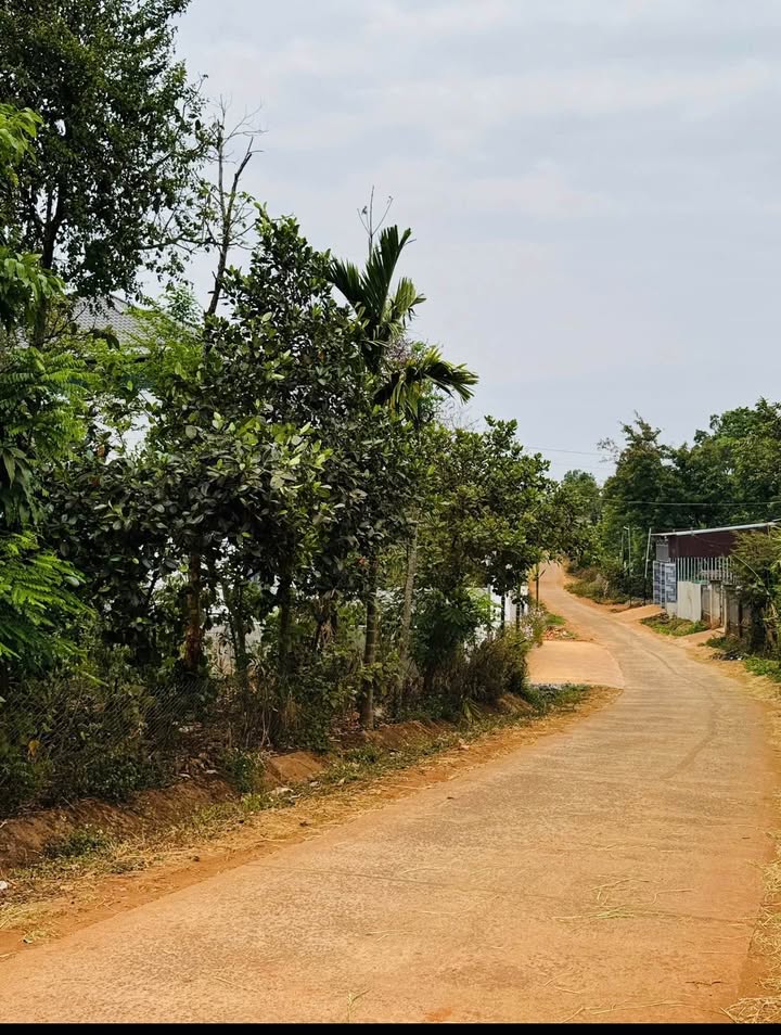 Đất nền Quảng Phú, Cư M'gar, Đắk Lắk 90m² giá 630 triệu - Đầu tư sinh lời ngay!