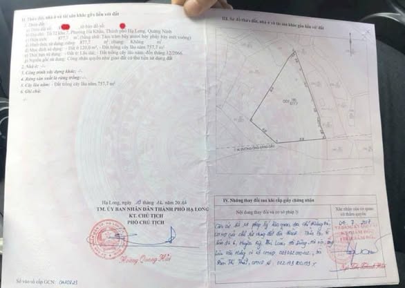 Đất xây dựng khu 7 (Hà Khẩu) Phường Việt Hưng 877,7m² giá 10 tỷ - Đường ô tô tới nơi!