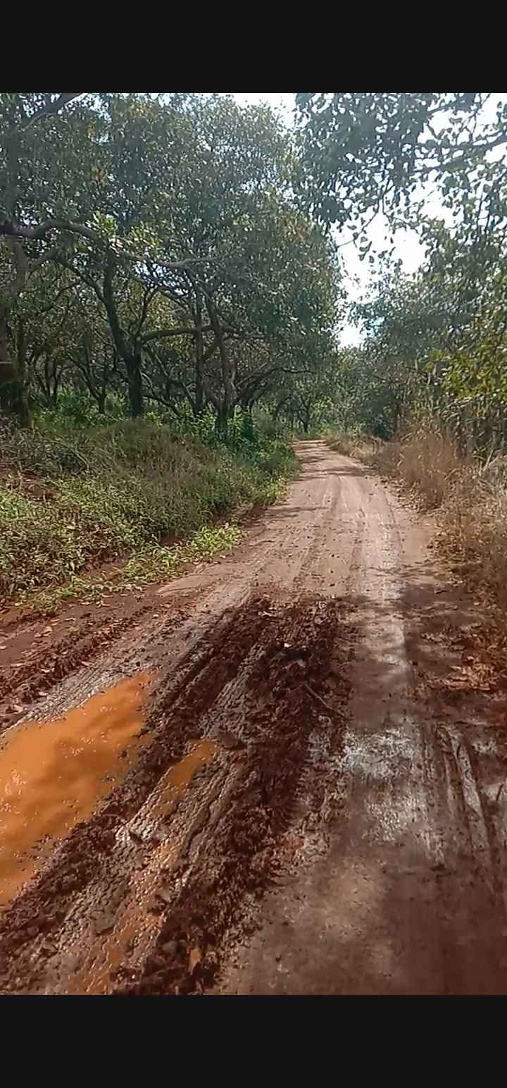 Đất nền Tân Hưng, Đồng Phú 10.000m² giá 1.6 tỷ - Đường ô tô rộng rãi!