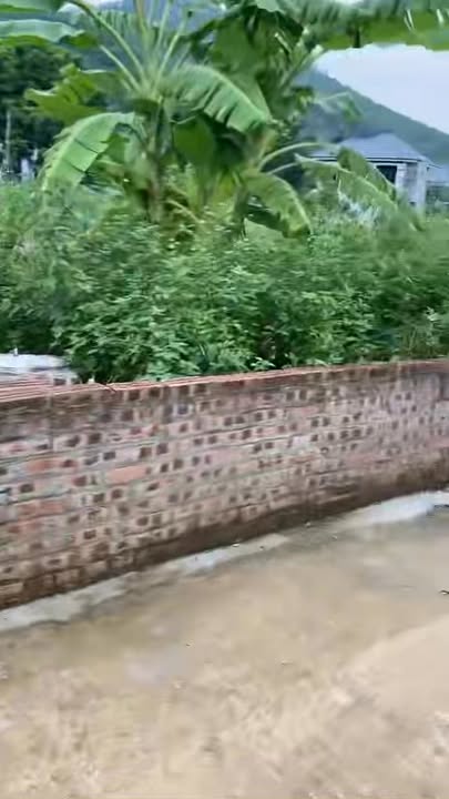 Đất thổ cư 136m² tại xã Yên Xuân, Thạch Thất - Chính chủ bán nhanh!