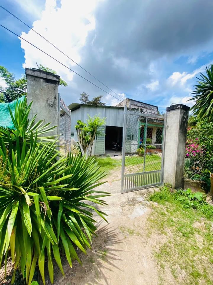 Đất bán Hẻm 95 Nguyễn Văn Linh 744m² giá 6 tỷ - Cơ hội đầu tư hấp dẫn!