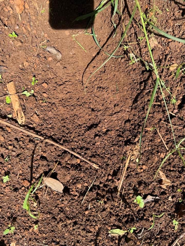 Đất vườn 2.6 sào tại Ea Siên, Đắk Lắk - Cơ hội đầu tư hấp dẫn!