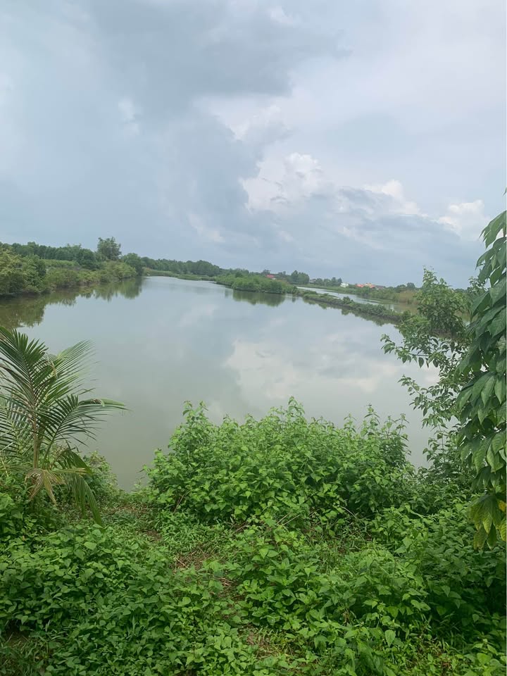 Đất Farm 17.000m² tại Tạ An Khương, Cà Mau giá 600 triệu - Sổ hồng chính chủ!