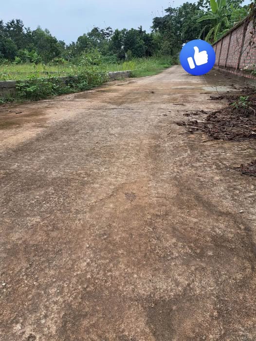 Đất nền Quỳnh Sơn, Yên Dũng 700m² giá 2 tỷ - Cơ hội đầu tư hấp dẫn!