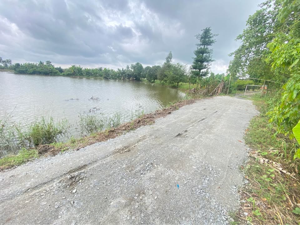 Đất nền mặt tiền lộ đá mi Phường Bình Đức 500m² giá chỉ 3xx triệu - Sổ hồng chính chủ!