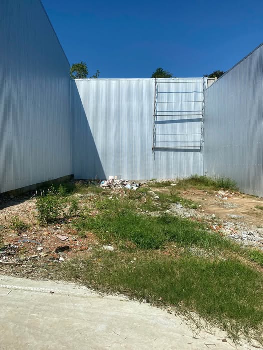 Đất chính chủ đường Phan Kế Bính, 100m² giá 1.6 tỷ - Hướng Đông, ô tô vào tận nơi!