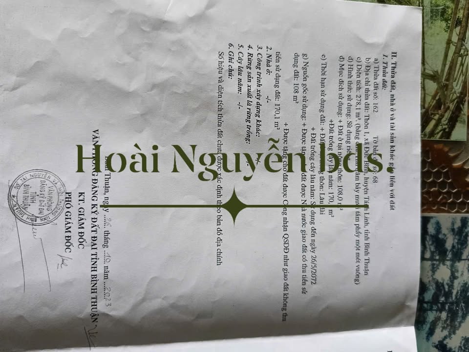 Đất nền chính chủ Đức Bình 288m² giá 590 triệu - Sổ đỏ nhanh gọn!