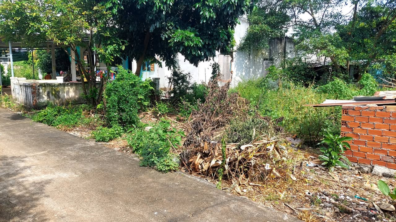 Đất thổ cư Hòa Long Bà Rịa 240m² giá 1.8 tỷ - Cơ hội đầu tư tuyệt vời!