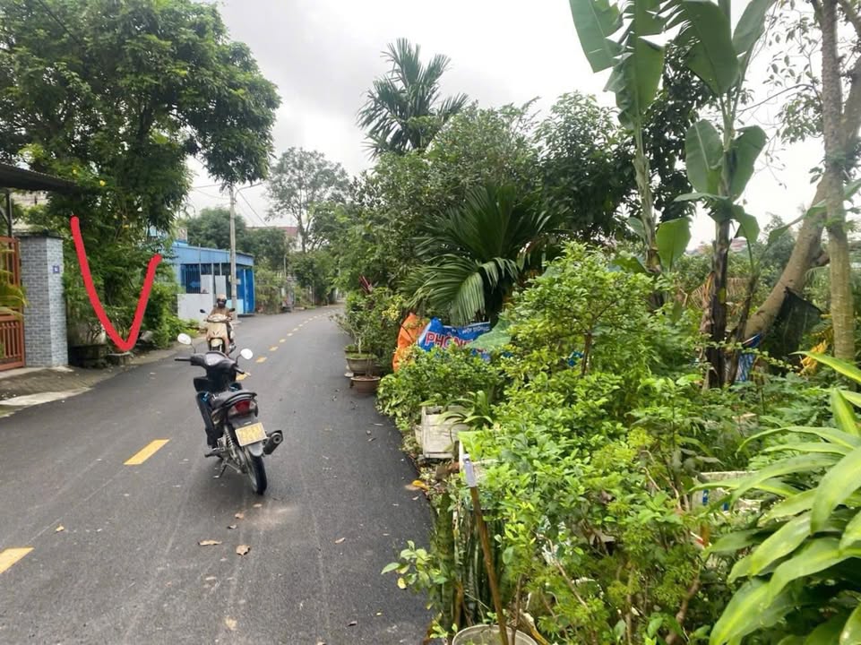 Đất Phúc Trì Ninh Bình 124m² giá 2.7 tỷ - Đầu tư sinh lời tiềm năng!