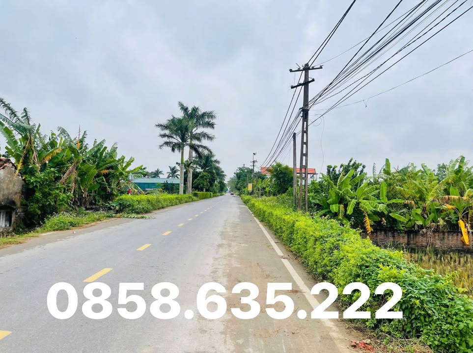 Đất Khánh Hải 140m² giá 1.3 tỷ - Mặt tiền rộng, gần khu công nghiệp!