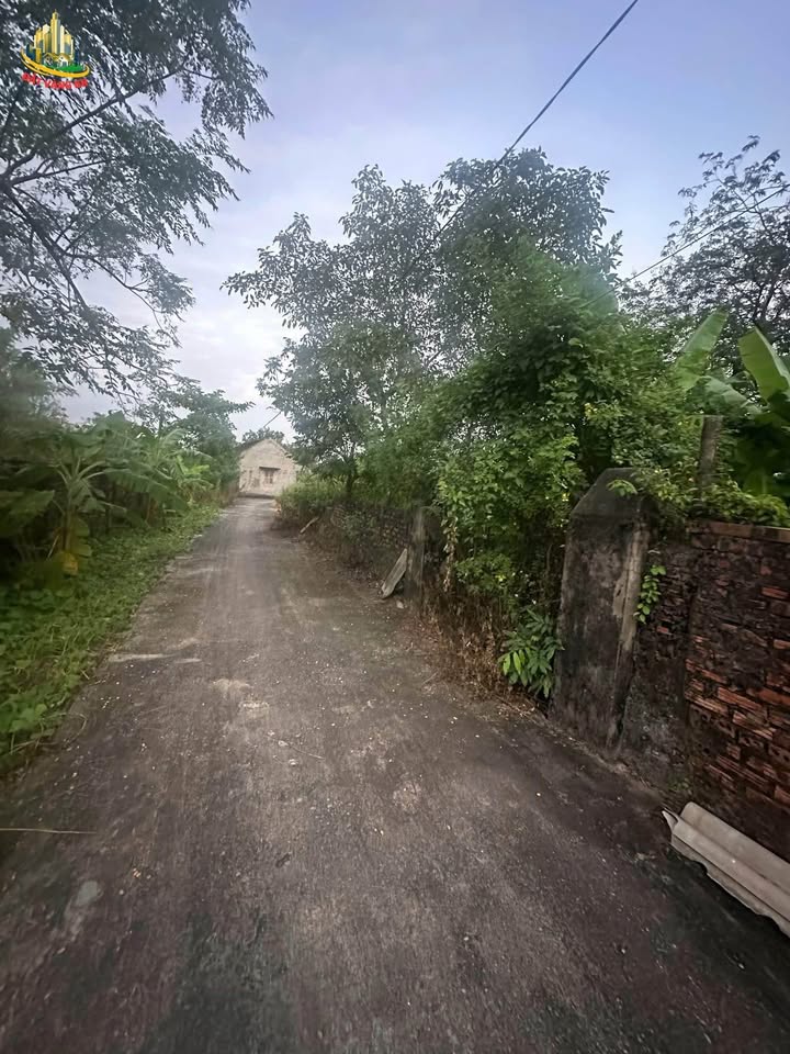 Đất nền Tây Hoa Lư 460m² giá 6.1 tỷ - Tiềm năng nghỉ dưỡng tuyệt vời!