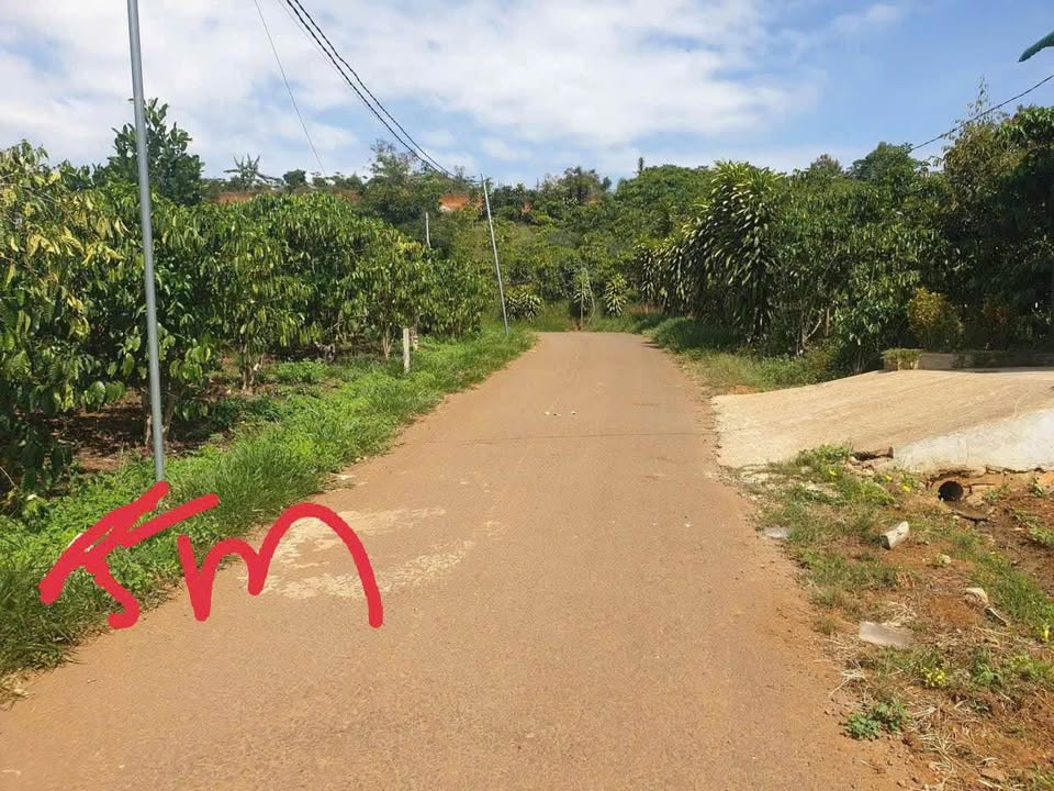 Đất nền Bảo Lộc mặt tiền Chi Lăng 125m² giá 900 triệu - Vị trí đắc địa!