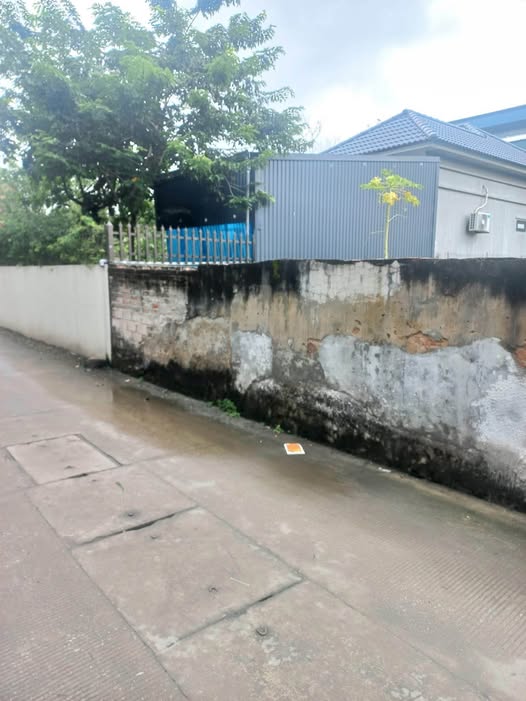 Đất nền Thọ Lộc 100m² giá 3 tỷ - Vị trí kinh doanh sầm uất!