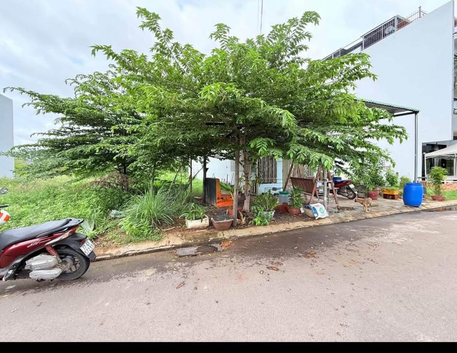 Đất nền Nhơn Phú 83m² giá 2.2 tỷ - Vị trí đắc địa gần biển Quy Nhơn!