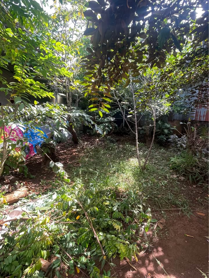 Đất thổ cư 150m² Phường Hội Phú giá 1.5 tỷ - Cơ hội vàng hiếm có!