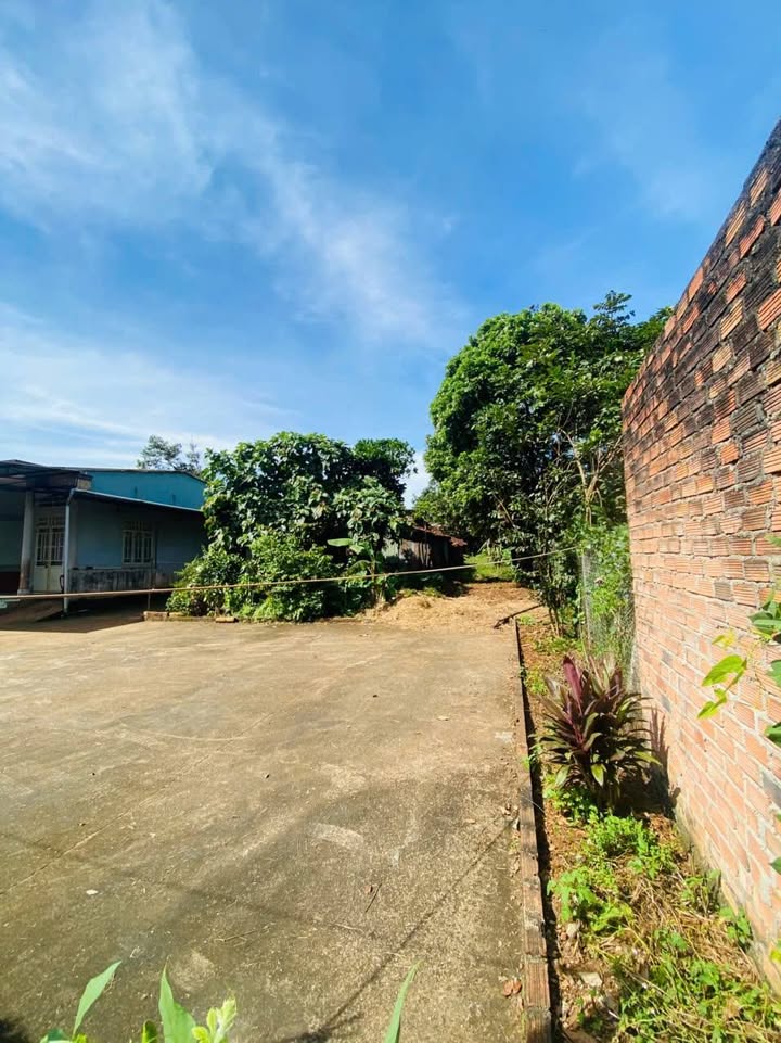 Đất nông nghiệp hẻm 206 Lê Duẩn, Pleiku 250m² giá 1.2 tỷ - Hướng Đông, dễ dàng chuyển đổi!