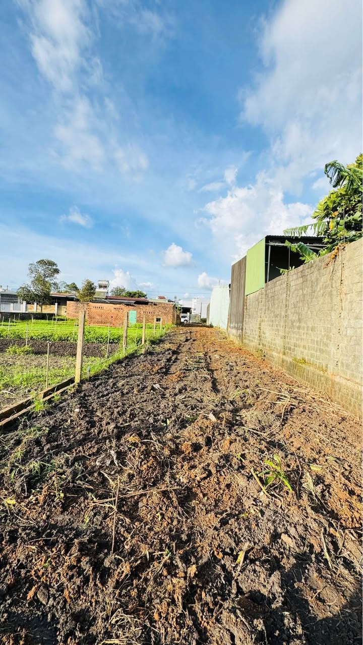 Đất thổ cư Lê Đại Hành, Pleiku 280m² giá 1.1 tỷ - Đường ô tô tận nơi!