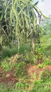 Đất nền 2 mặt tiền xã Ia Pnôn 585m² giá 370 triệu - Cơ hội đầu tư hấp dẫn!