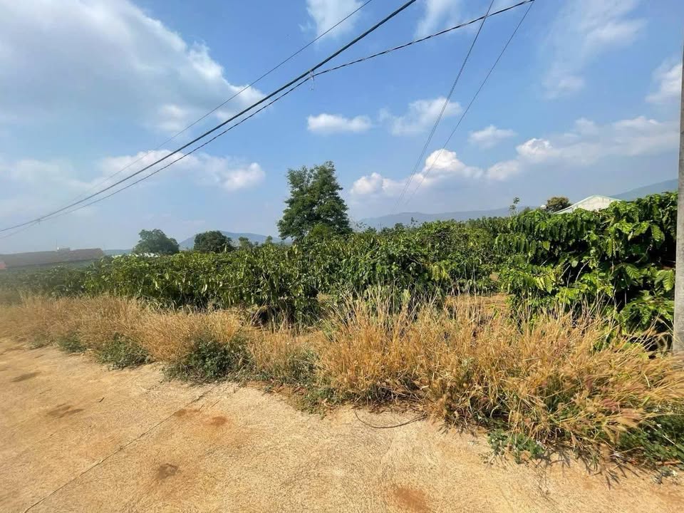 Đất nền đẹp xã Ia Hrung, 1.600m² giá 1.2 tỷ - Đầu tư sinh lời ngay!