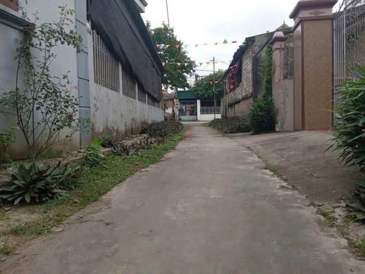 Đất nền thôn Hòa Lạc, Hòa Phong, 74m² giá 1.1 tỷ - Đầu tư sinh lời ngay!