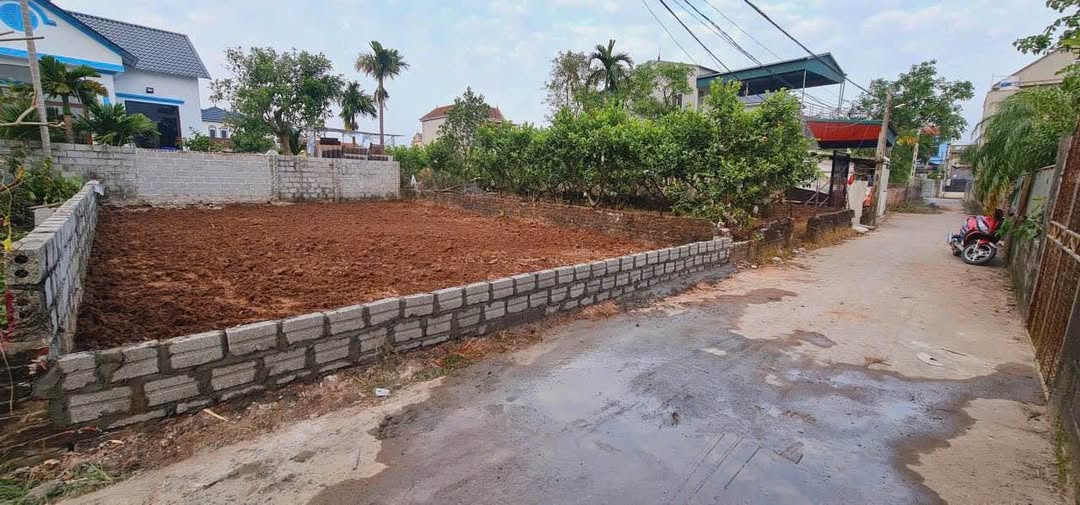 Đất nền Liên Nghĩa, Văn Giang, Hưng Yên 114,7m² - Tiềm năng tăng giá mạnh!