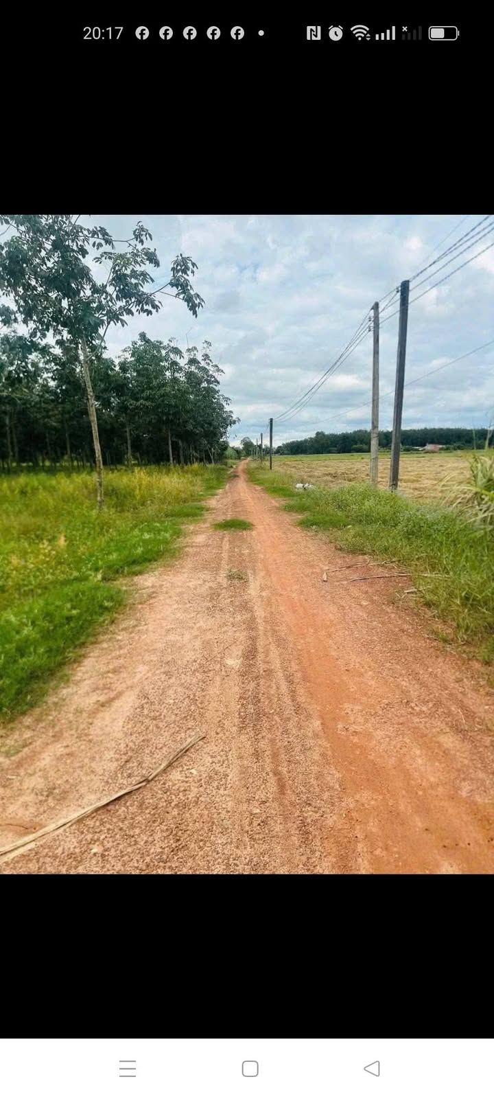 Đất nền 1000m² tại ấp Nam Bến Sỏi, xã Ninh Điền, giá thỏa thuận - Cơ hội đầu tư hấp dẫn!