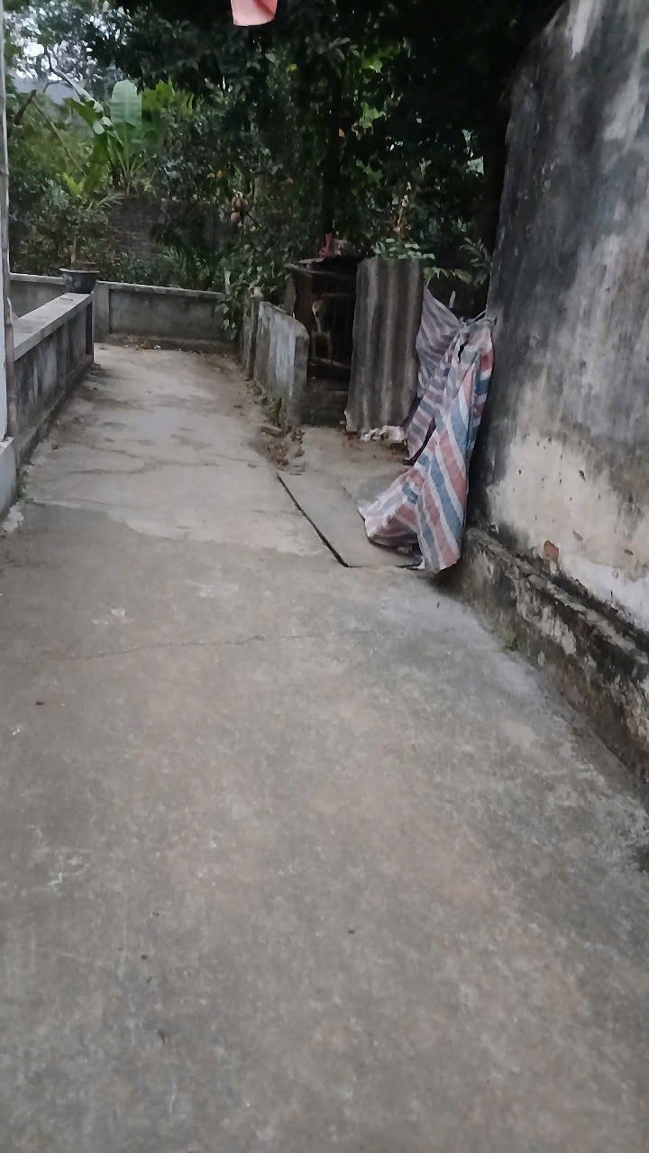 Đất thổ cư 237m² tại Tân Hòa, Quốc Oai - Giá chỉ 2.37 tỷ, đầu tư sinh lời ngay!