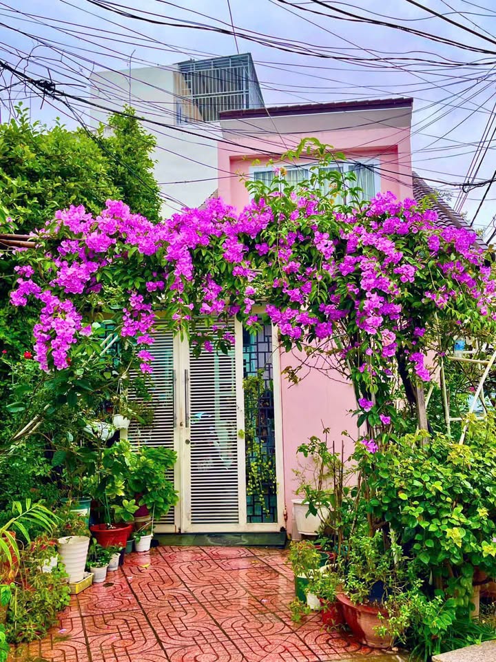 Nhà góc 2 mặt tiền Trương Hán Siêu, Nha Trang 116,1m² giá 11 tỷ - Pháp lý rõ ràng!